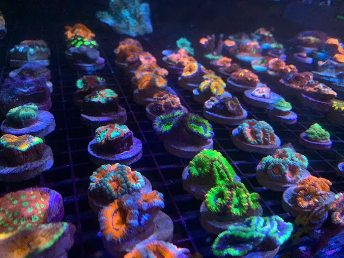TRSCAquatics Picture 6