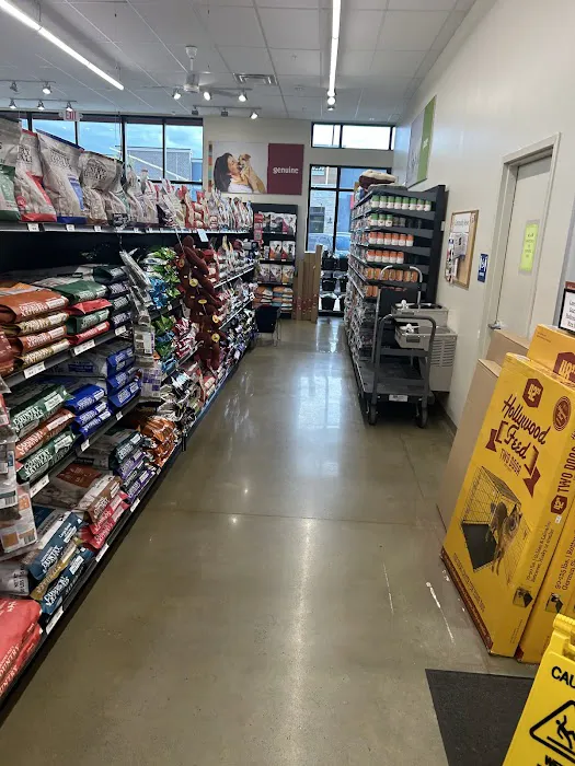 Hollywood Feed Picture 2