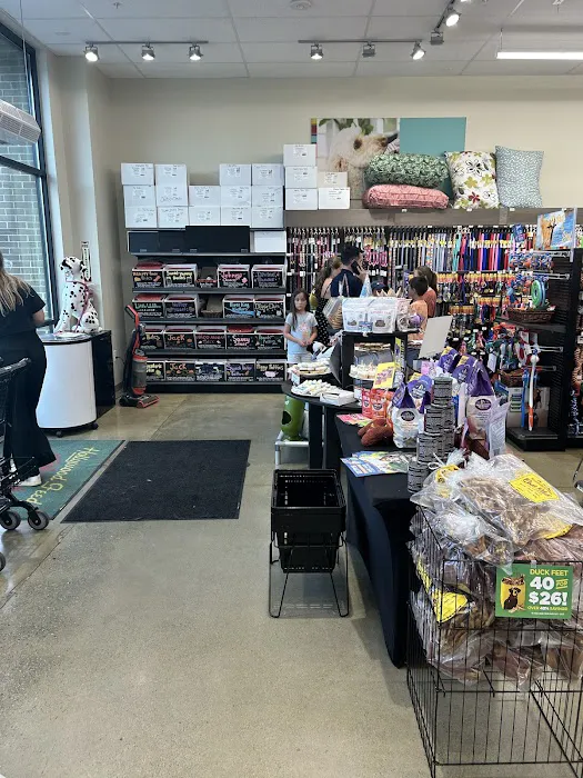 Hollywood Feed Picture 4