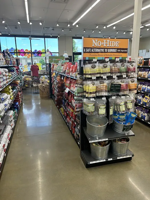 Hollywood Feed Picture 1