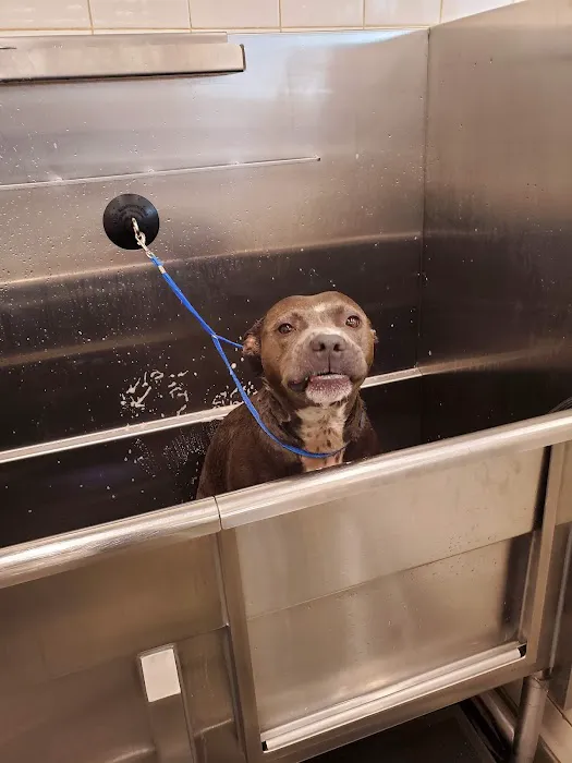 Hollywood Feed Picture 5