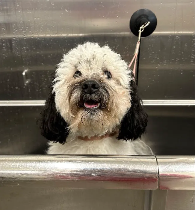 Hollywood Feed Picture 3