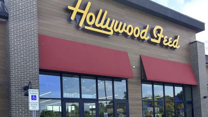 Hollywood Feed Picture 10