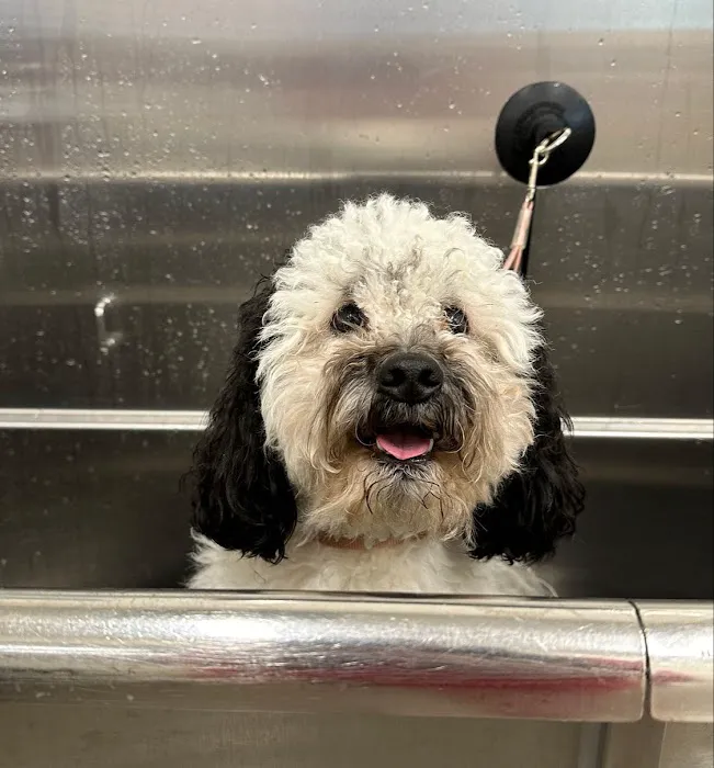 Hollywood Feed Picture 8