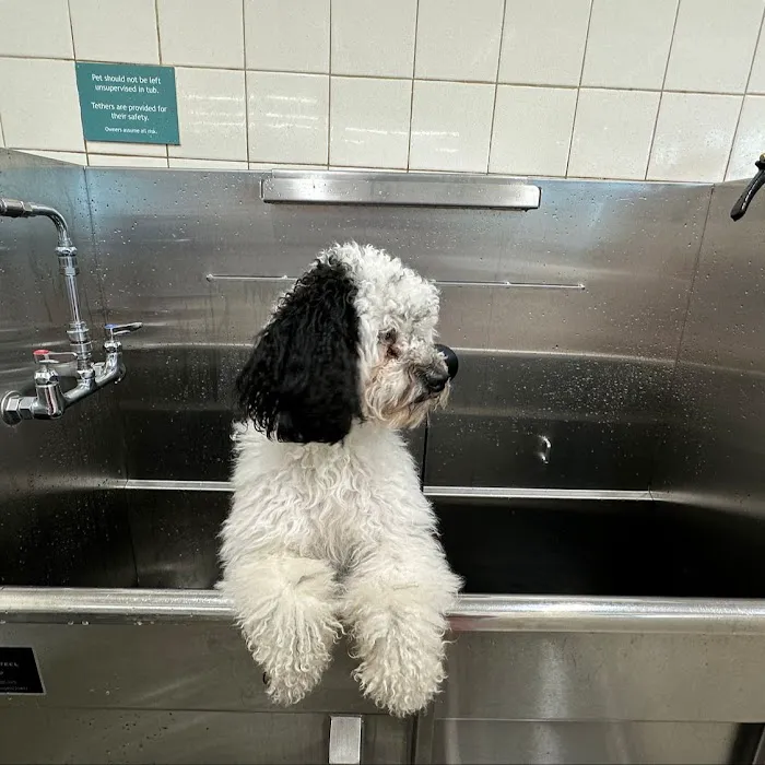 Hollywood Feed Picture 9