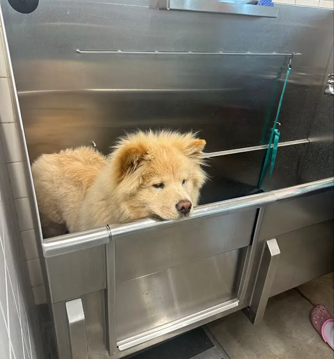 Hollywood Feed Picture 7