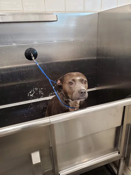 Hollywood Feed Picture 6