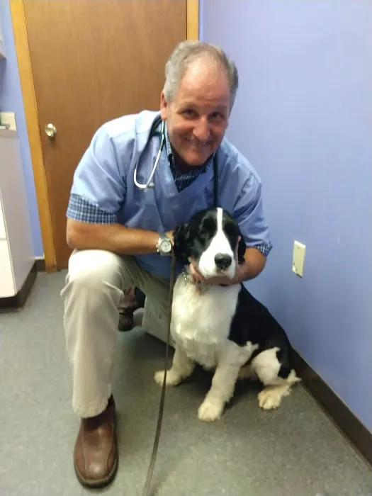 Countryside Veterinary Clinic: Olson Meredith DVM Picture 2