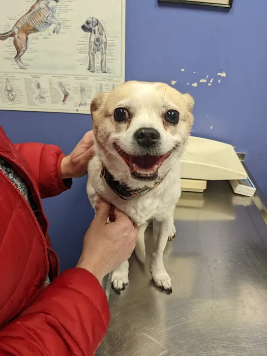 Countryside Veterinary Clinic: Olson Meredith DVM Picture 3