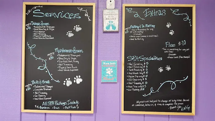 ENV Pet Spa and Grooming Picture 3