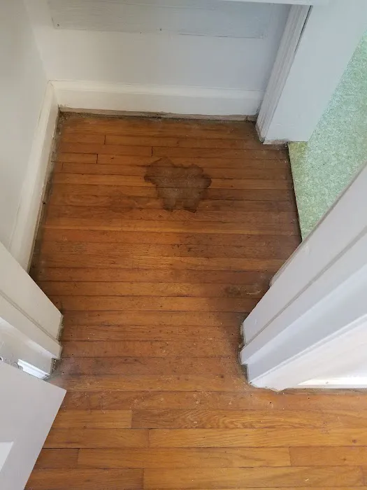 ENV Pet Spa and Grooming Picture 1