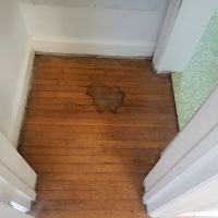 ENV Pet Spa and Grooming ico