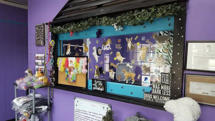 ENV Pet Spa and Grooming Picture 5