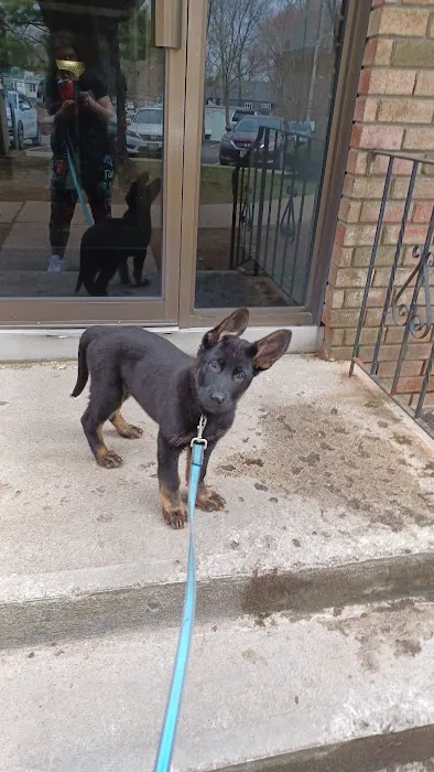 Countryside Veterinary Clinic Picture 9