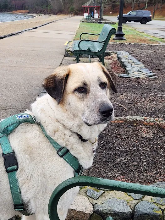 Countryside Veterinary Clinic Picture 3