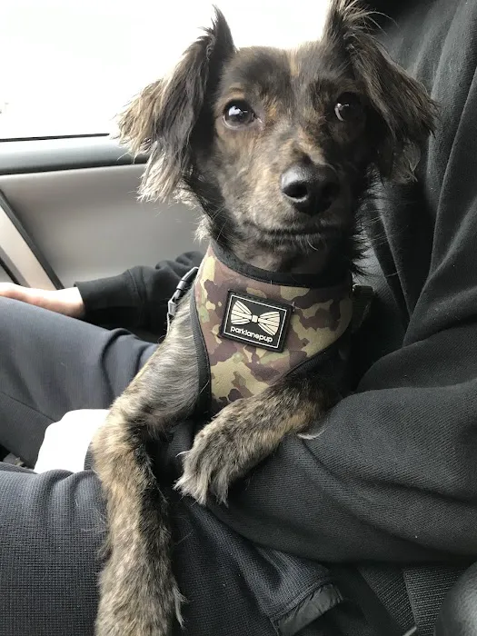 Countryside Veterinary Clinic Picture 10