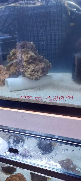 River and Reef Aquatics Picture 6