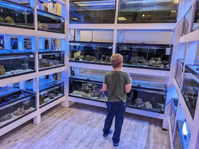 River and Reef Aquatics Picture 4