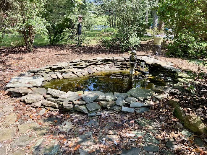 River and Reef Aquatics Picture 8