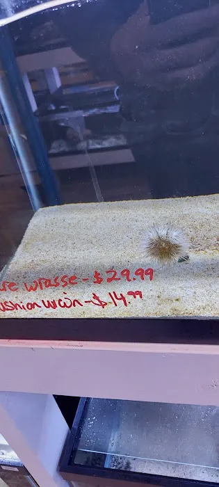 River and Reef Aquatics Picture 7