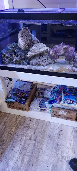 River and Reef Aquatics Picture 5