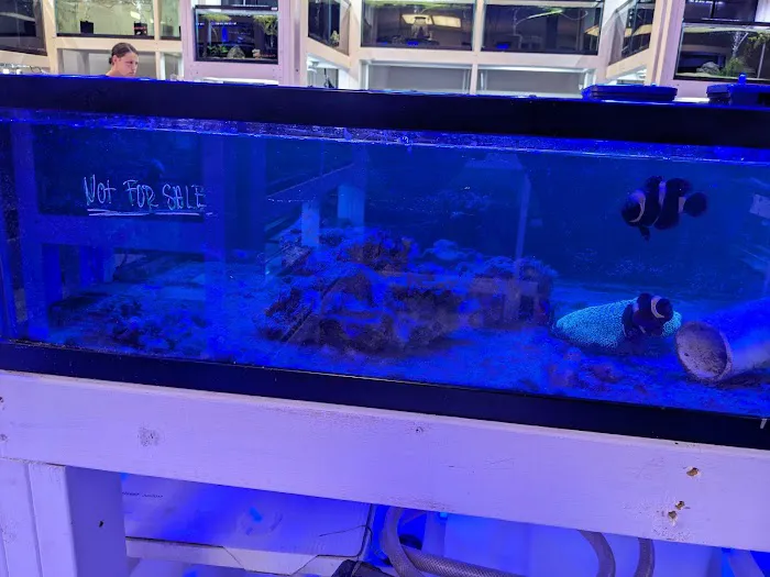 River and Reef Aquatics Picture 3