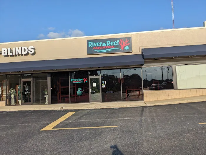 River and Reef Aquatics Picture 2