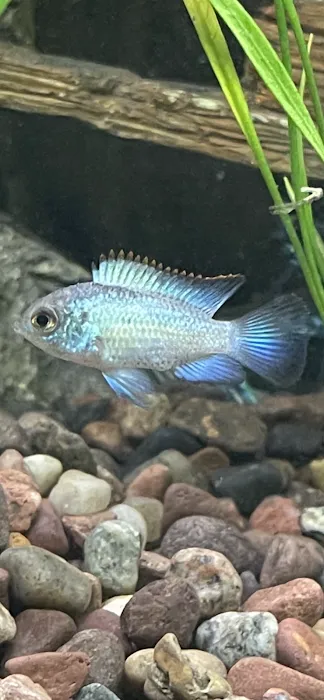 River and Reef Aquatics Picture 9