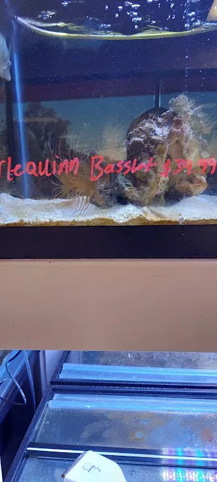 River and Reef Aquatics Picture 10