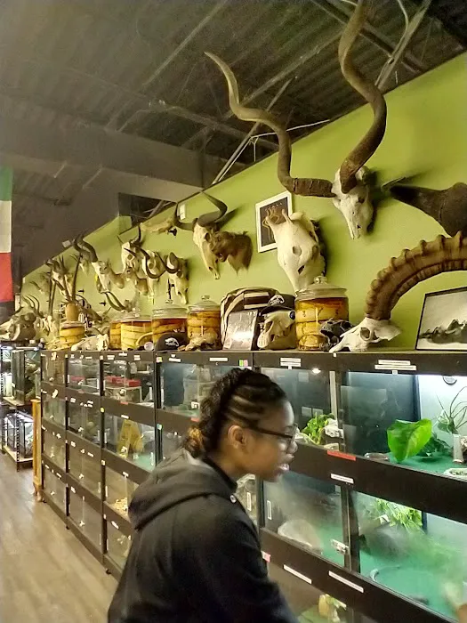 Cold Blooded & Bizarre Picture 1