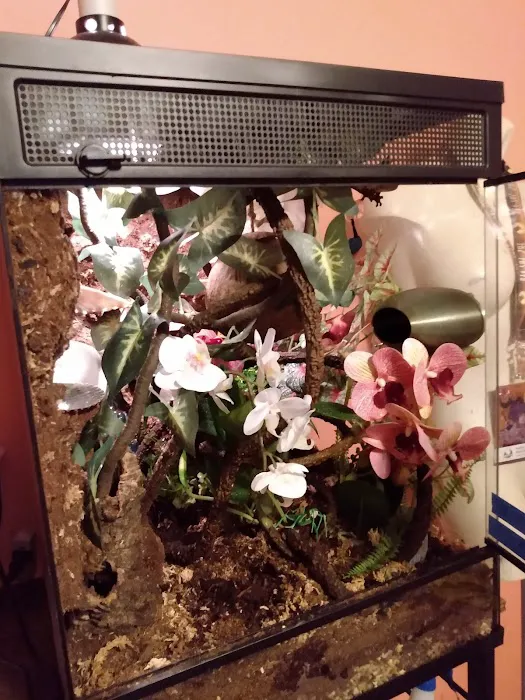 Cold Blooded & Bizarre Picture 4