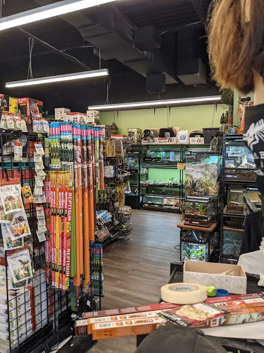 Cold Blooded & Bizarre Picture 3