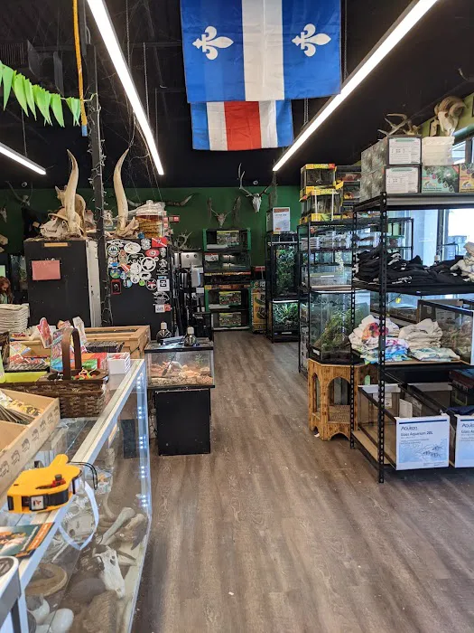 Cold Blooded & Bizarre Picture 6