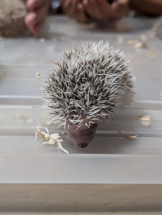 Queen City Quillery Picture 3