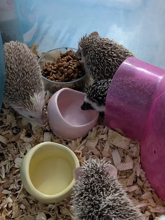 Queen City Quillery Picture 7