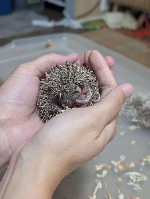 Queen City Quillery Picture 4