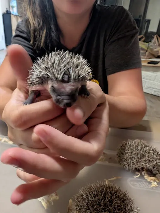 Queen City Quillery Picture 6