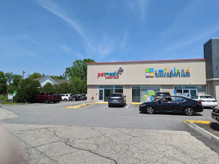 PetMedic Urgent Care Vet Clinic - Westborough Picture 2