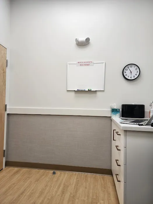 PetMedic Urgent Care Vet Clinic - Westborough Picture 6