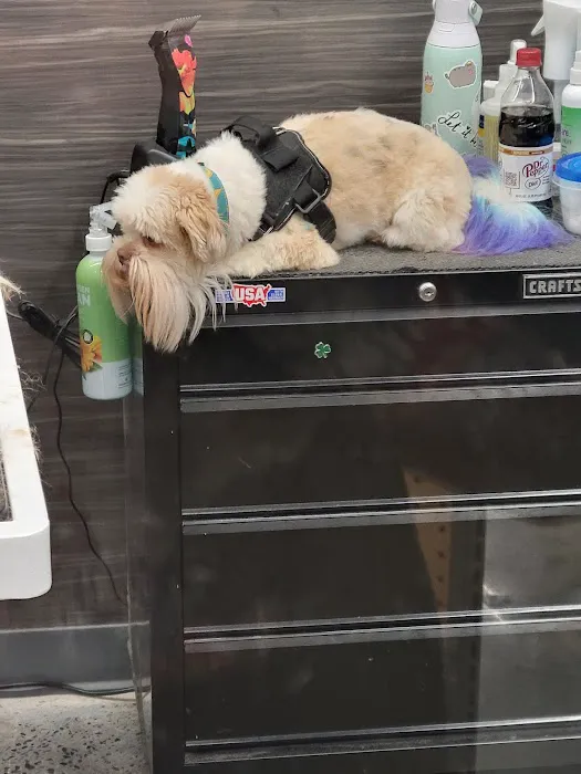 Pet Supplies Plus Charlotte - Elizabeth Picture 1