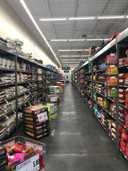 Pet Supplies Plus Charlotte - Elizabeth Picture 8