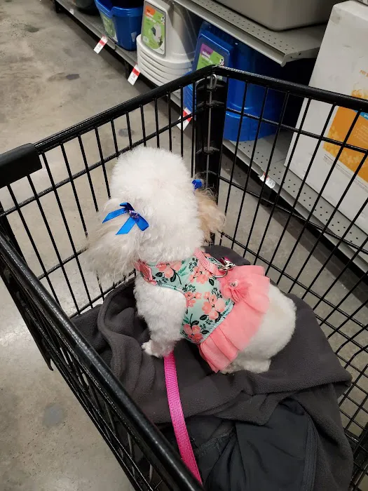 Pet Supplies Plus Charlotte - Elizabeth Picture 2