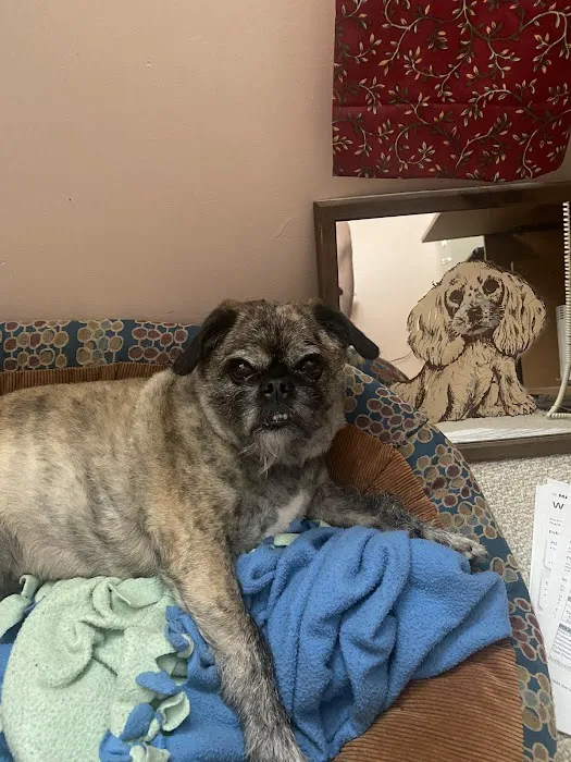 Southborough Veterinary Hospital Picture 2