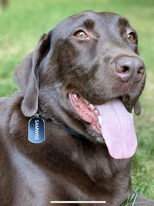 Southborough Veterinary Hospital Picture 8