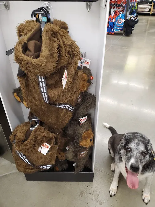 Petco Picture 1