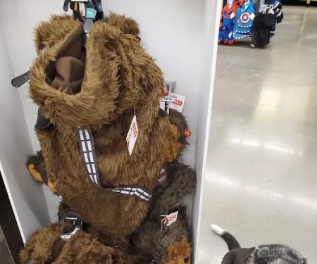 Petco