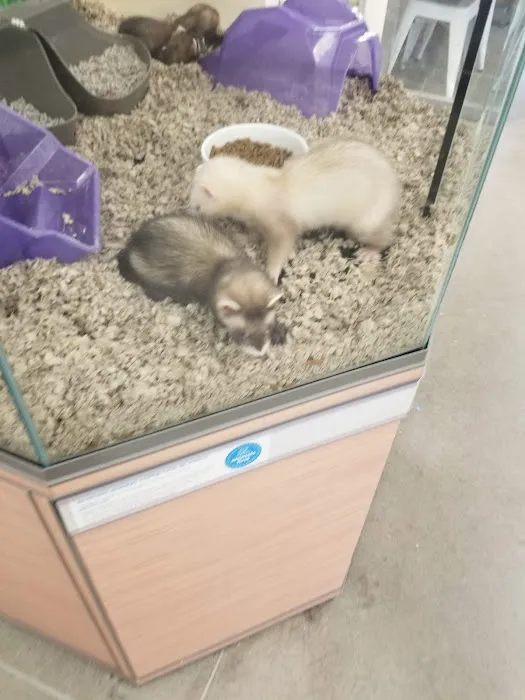 Petco Picture 7