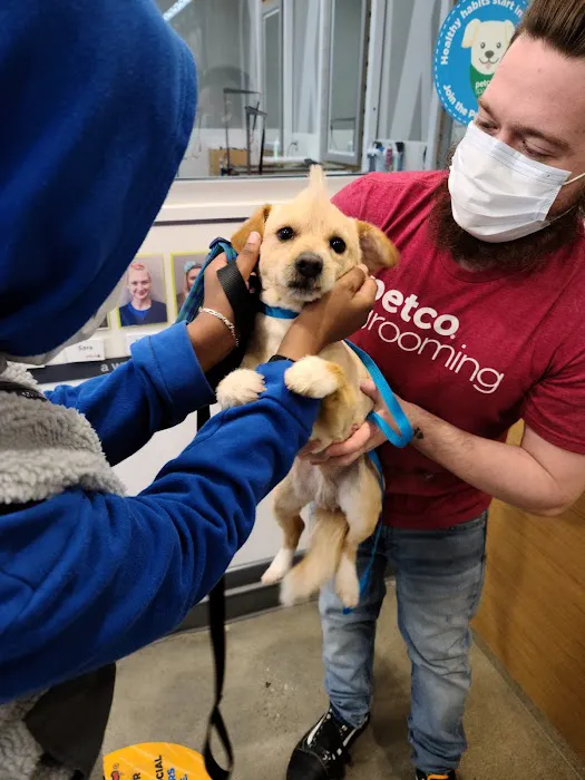 Petco Picture 2