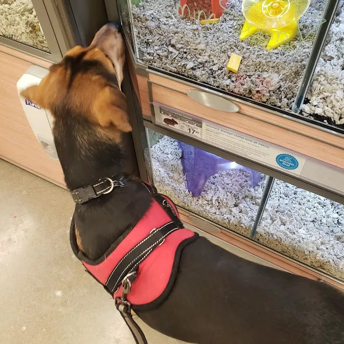 Petco Picture 6