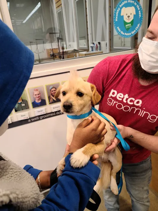 Petco Picture 4